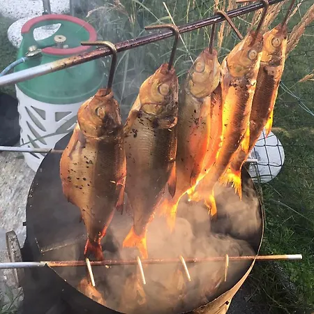 Alfred Wunder بيت ضيافة 3*