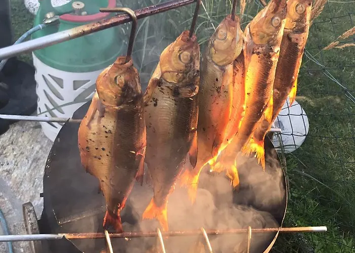 Alfred Wunder 게스트하우스 3*