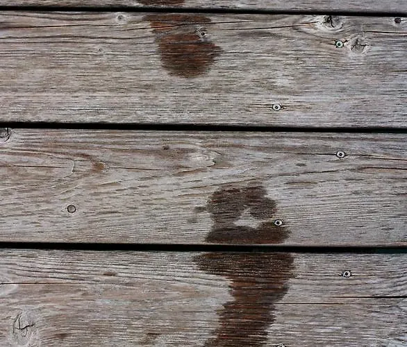 Alfred Wunder 게스트하우스 3*